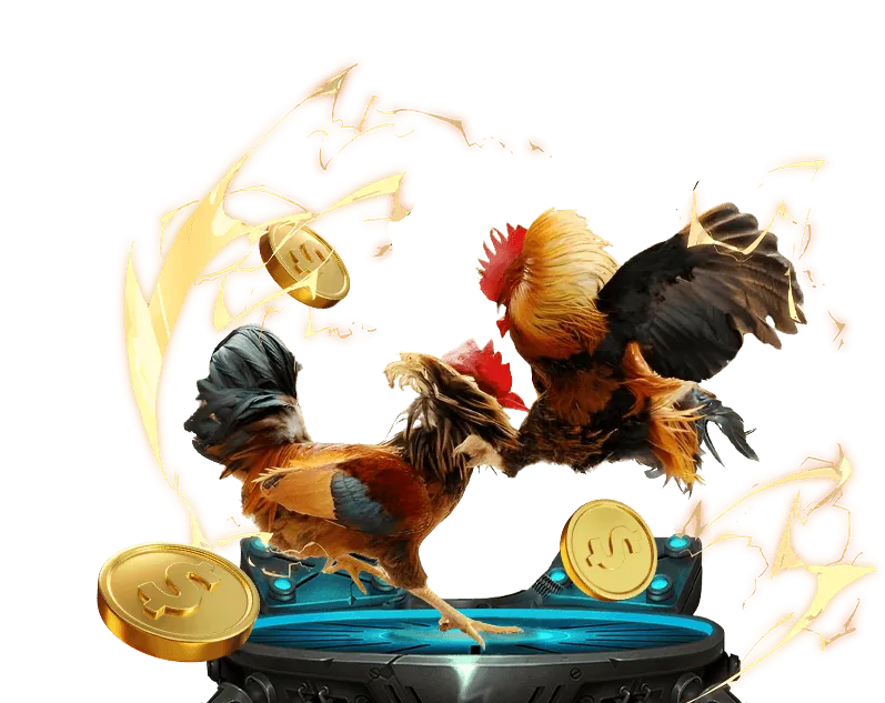 Giải thích Cookie là gì và cách chúng hoạt động trên hello88 66